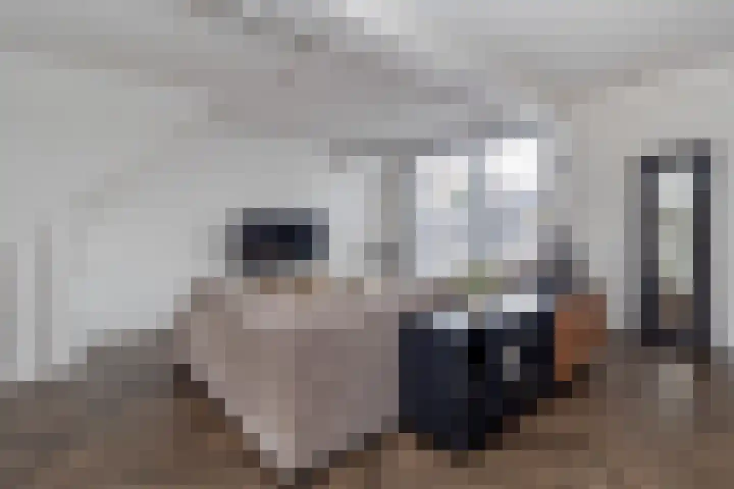 Pater Nottenstraat 4 Ulestraten thumbnail 14