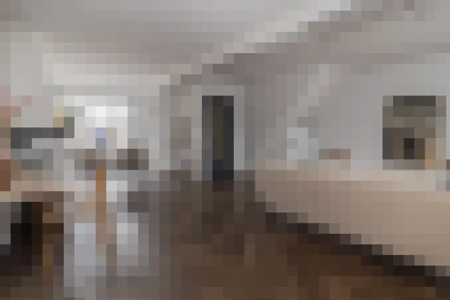 Pater Nottenstraat 4 Ulestraten thumbnail 15