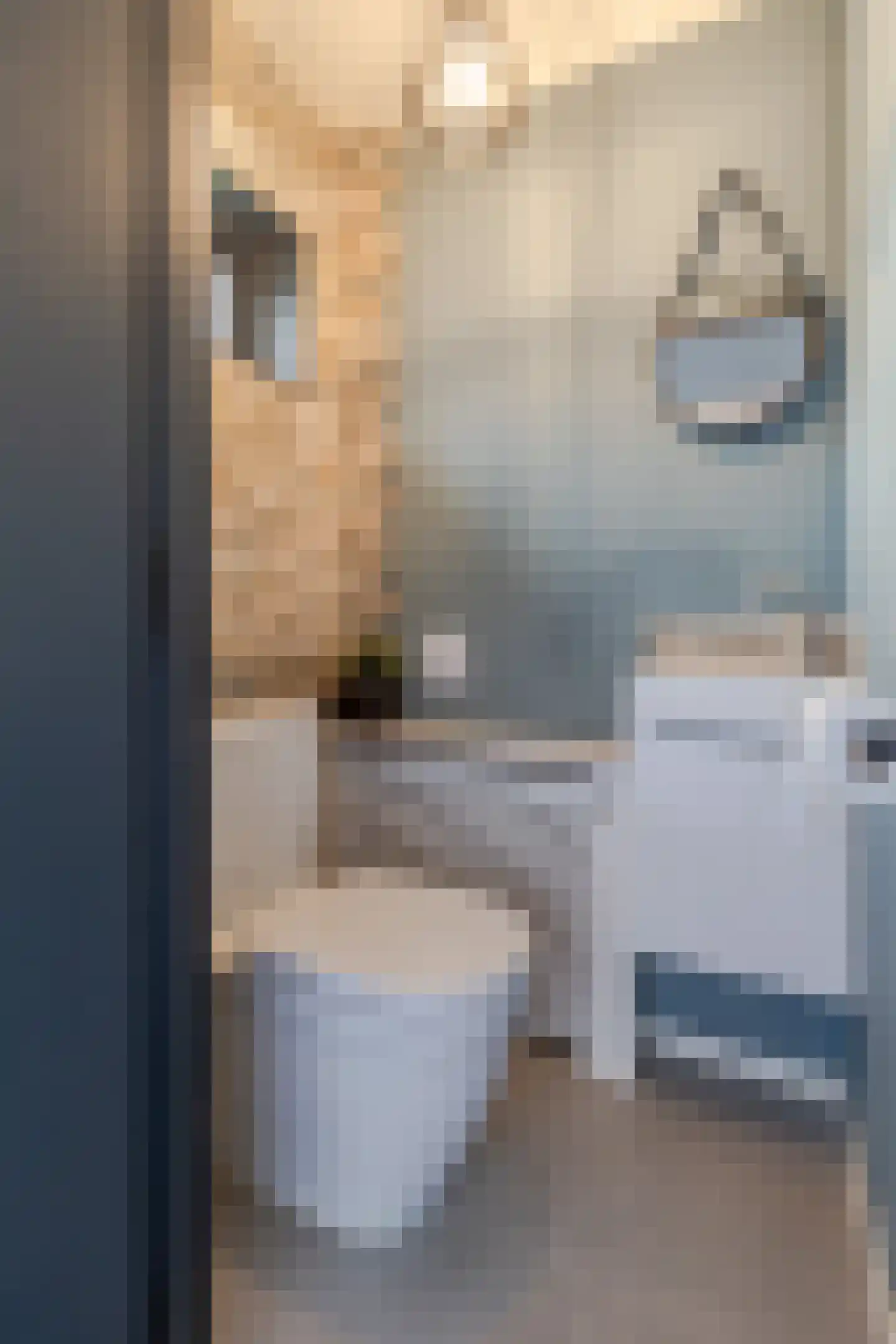 Pater Nottenstraat 4 Ulestraten thumbnail 19