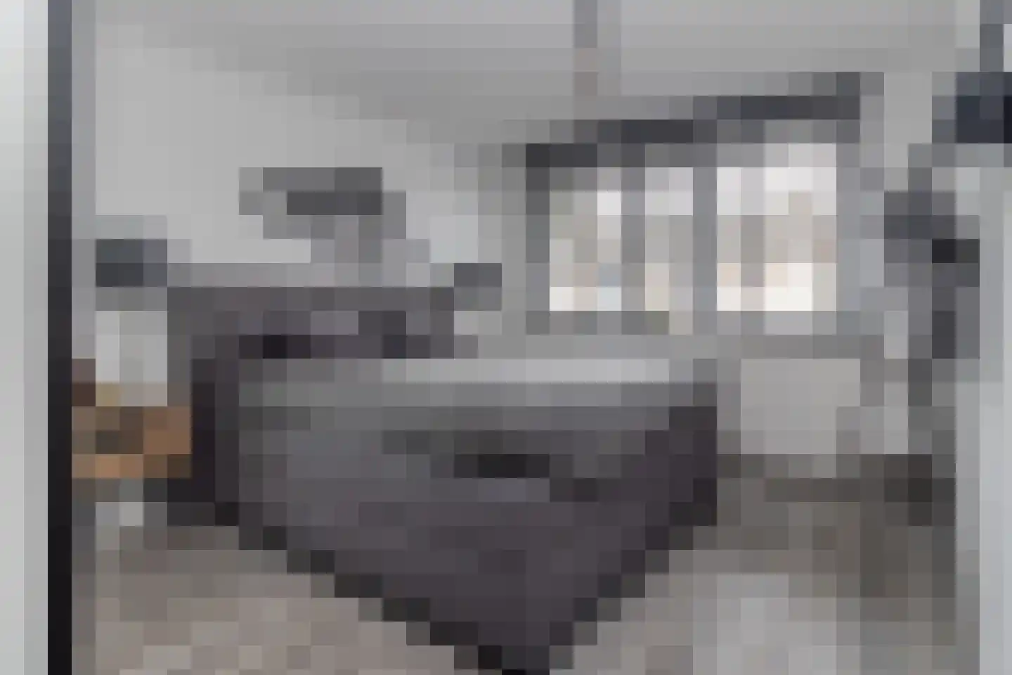 Pater Nottenstraat 4 Ulestraten thumbnail 30