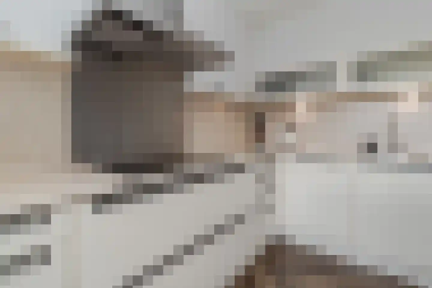 Pater Nottenstraat 4 Ulestraten thumbnail 4