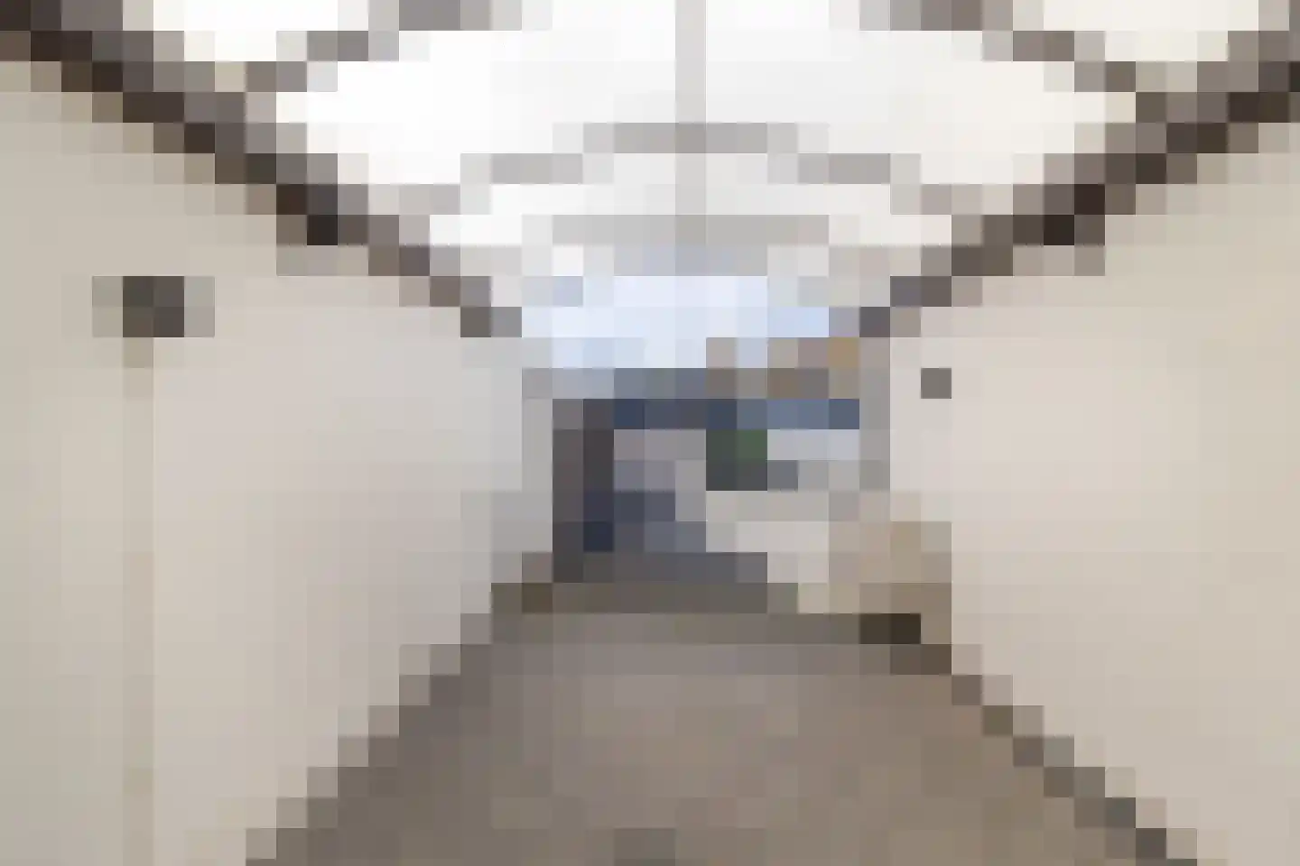 Pater Nottenstraat 4 Ulestraten thumbnail 41