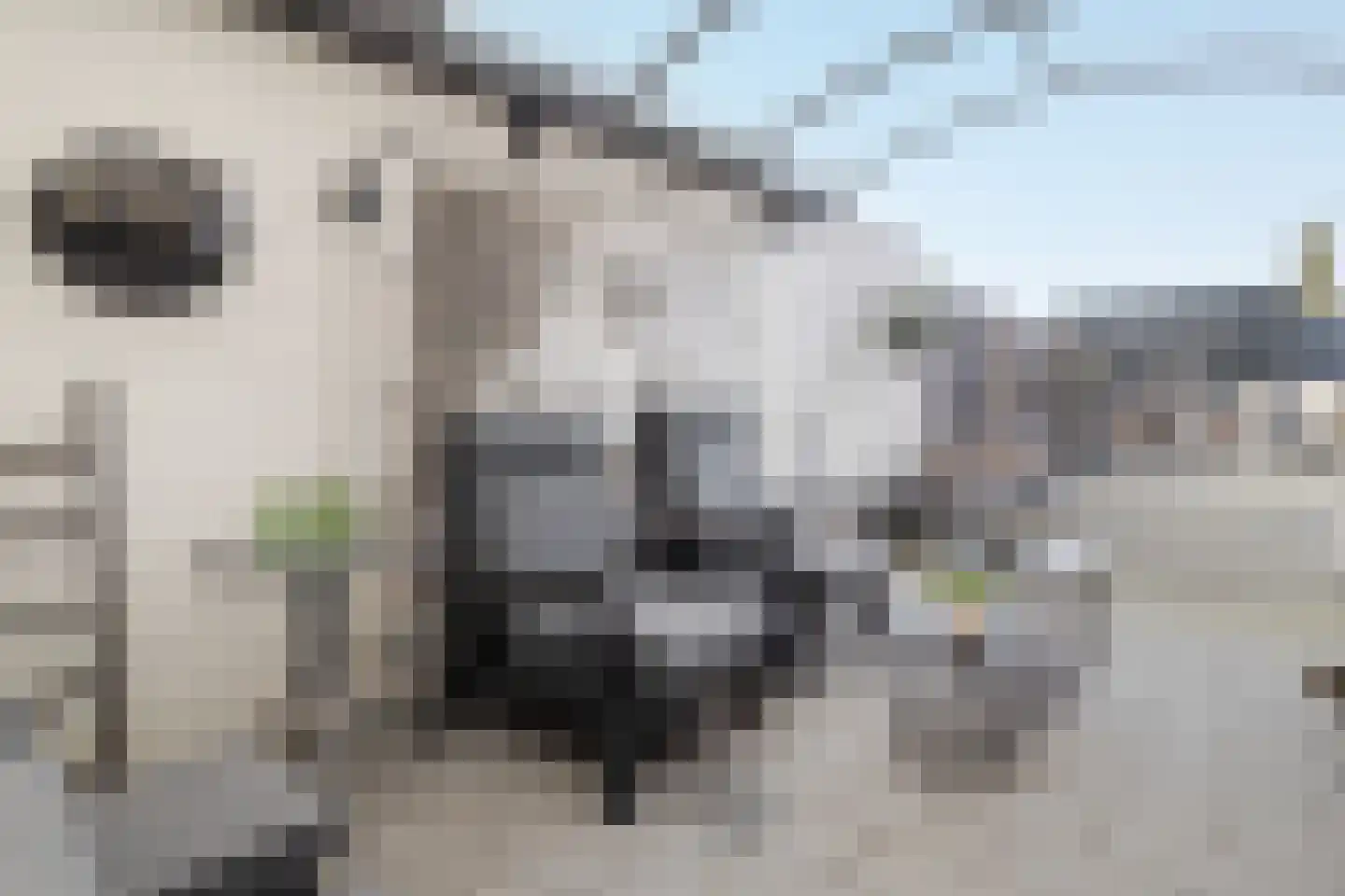 Pater Nottenstraat 4 Ulestraten thumbnail 43