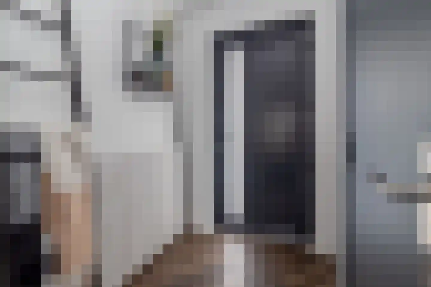 Pater Nottenstraat 4 Ulestraten thumbnail 9