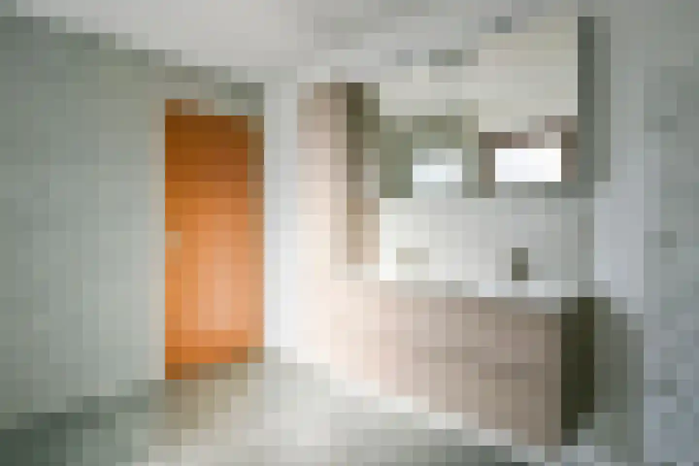 Pater Pelzersstraat 31 Obbicht thumbnail 25