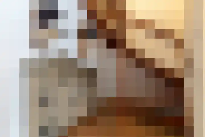 Pater Pelzersstraat 37 Obbicht thumbnail 10