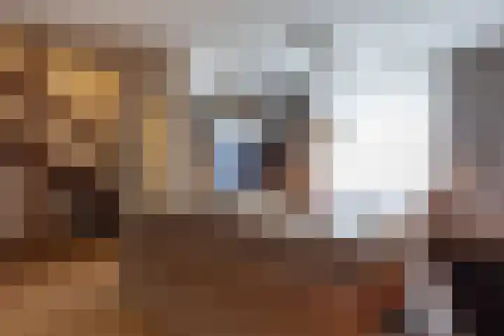 Pater Pelzersstraat 37 Obbicht thumbnail 7