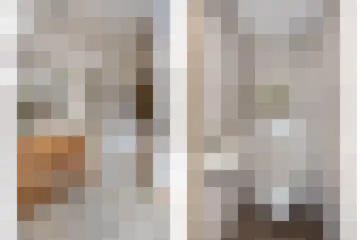 Pater Pirestraat 48 Goirle thumbnail 14