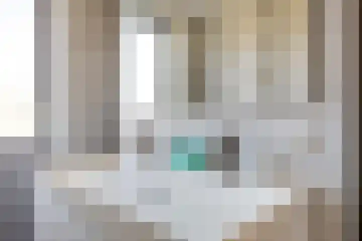 Pater Pirestraat 48 Goirle thumbnail 36