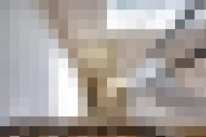 Pater Pirestraat 48 Goirle thumbnail 46