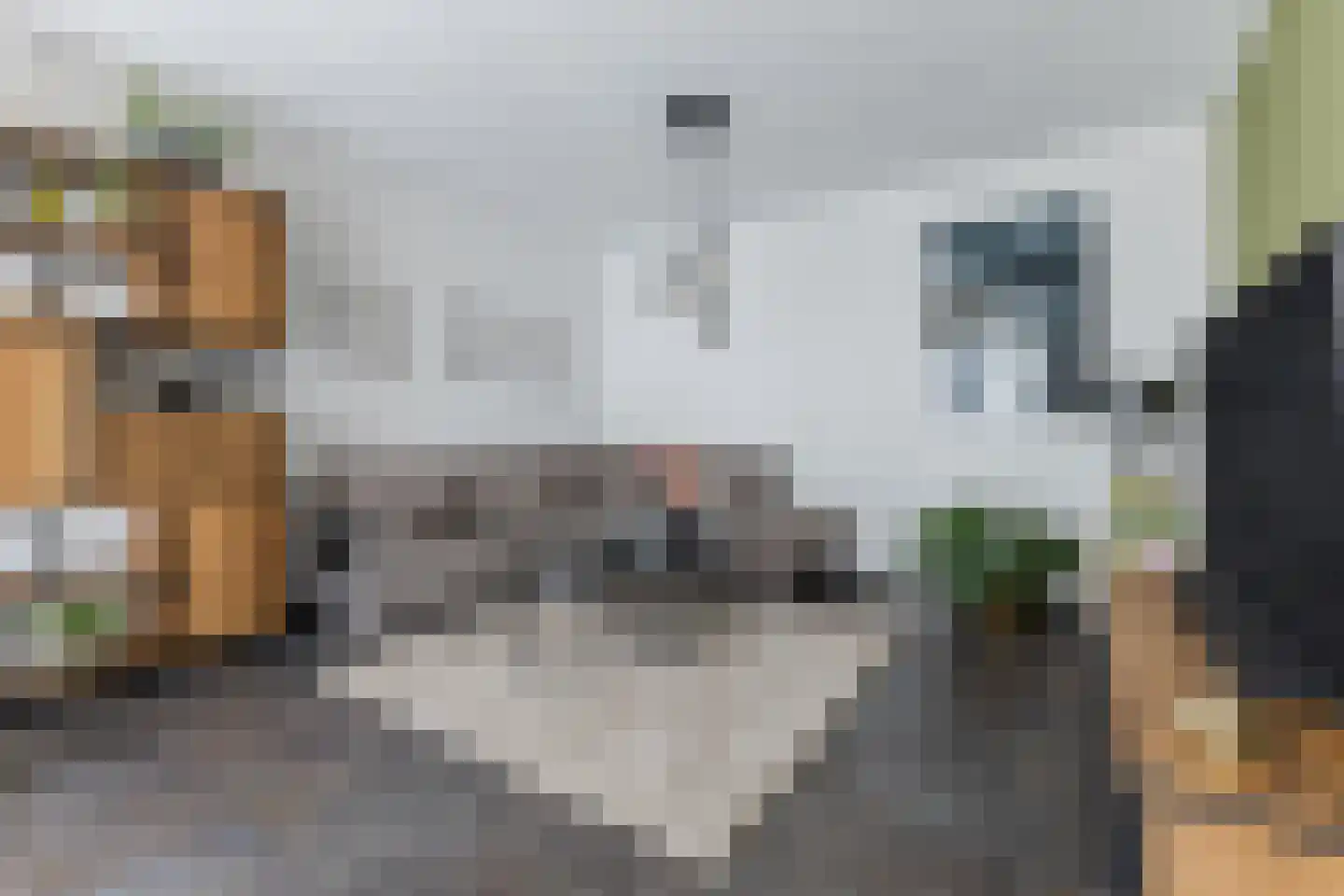 Pater R.D. Kloegstraat 15 Best thumbnail 11