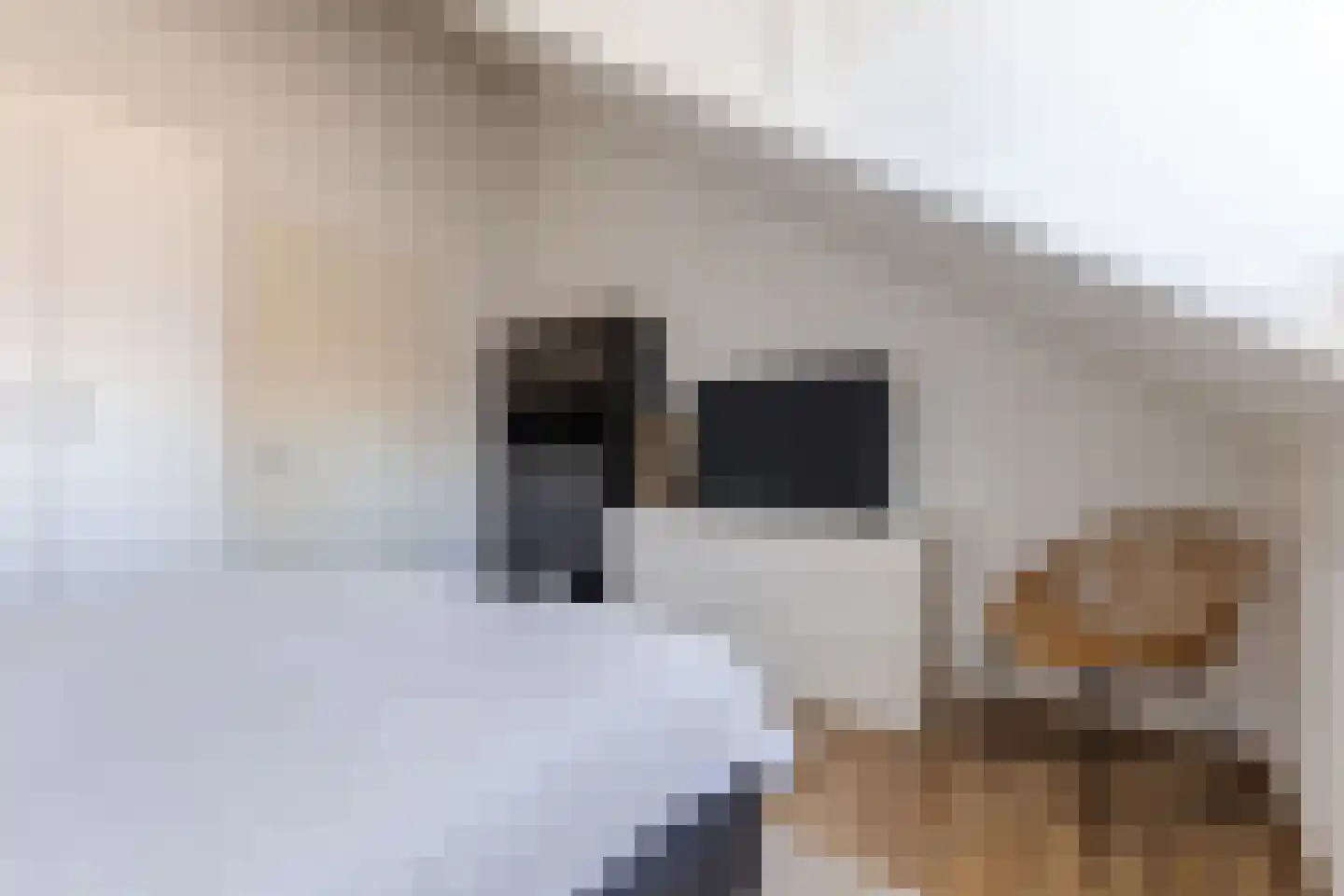 Pater R.D. Kloegstraat 15 Best thumbnail 23