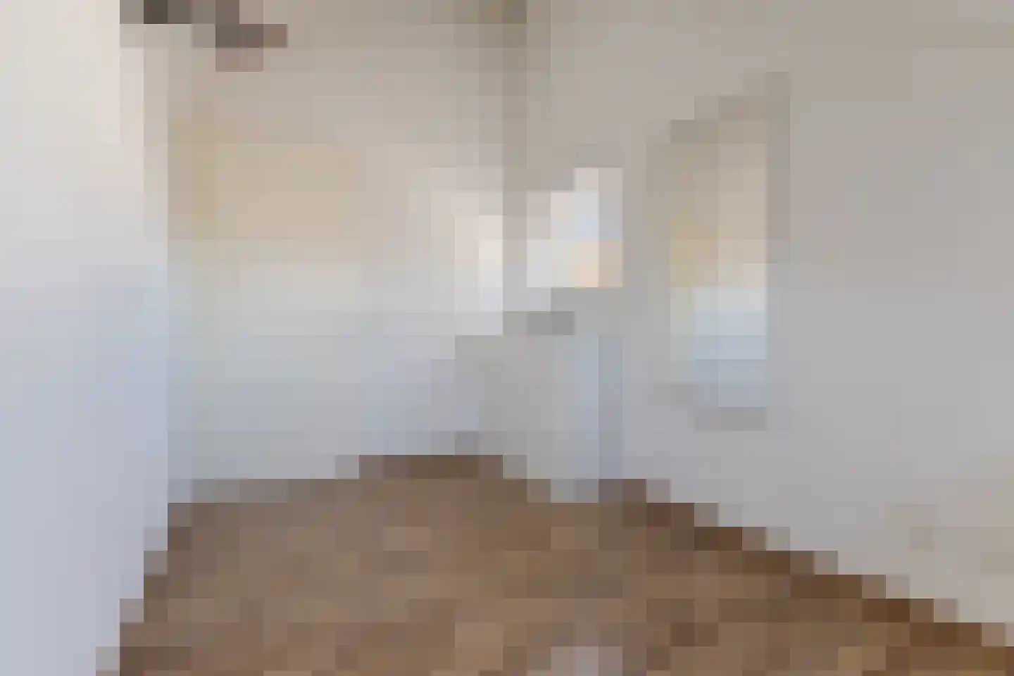 Pater R.D. Kloegstraat 15 Best thumbnail 25