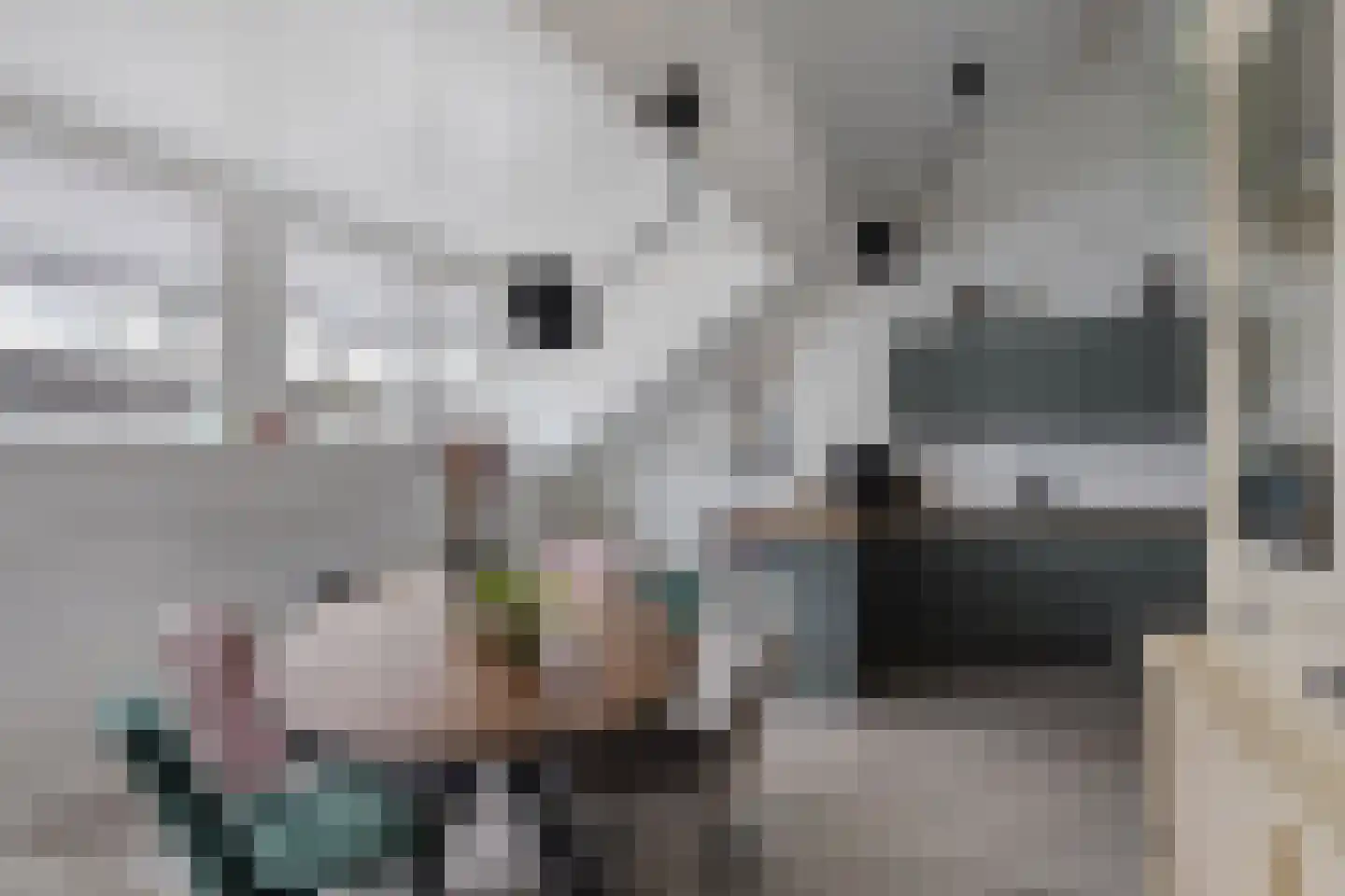 Pater R.D. Kloegstraat 16 Best thumbnail 15