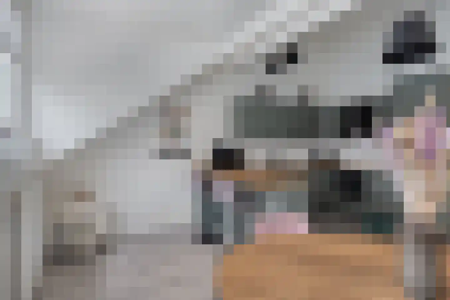 Pater R.D. Kloegstraat 16 Best thumbnail 16
