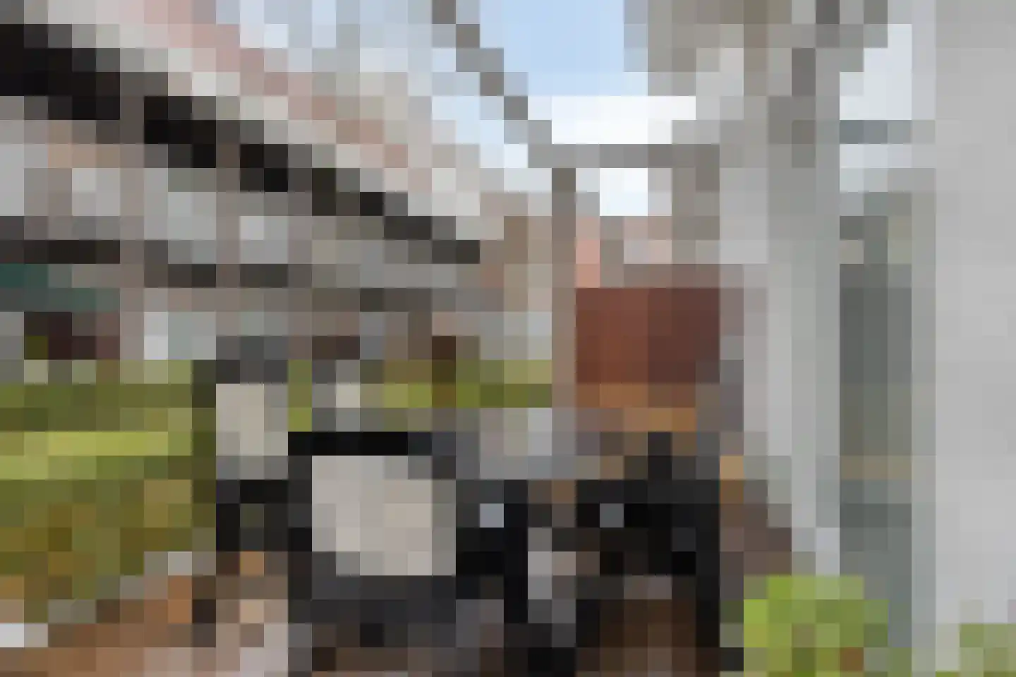 Pater R.D. Kloegstraat 16 Best thumbnail 33