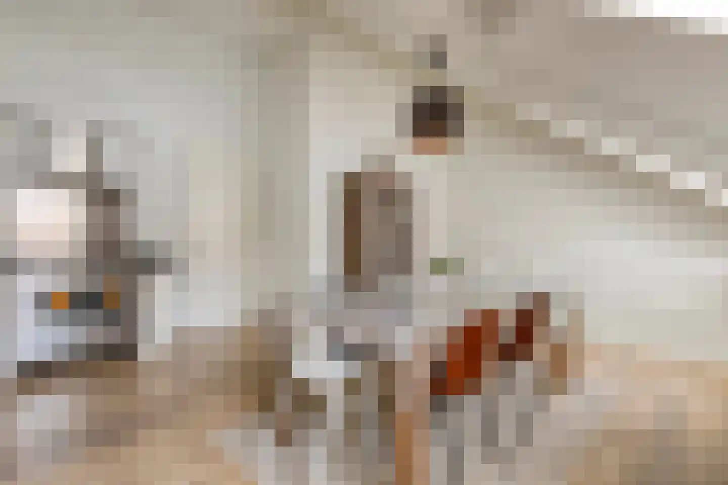 Pater R.D. Kloegstraat 19 Best thumbnail 15
