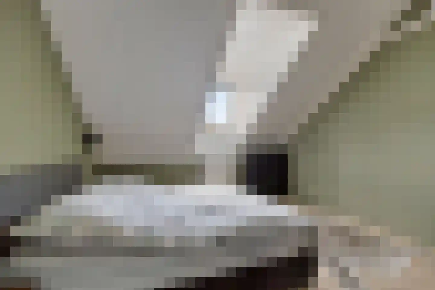 Pater R.D. Kloegstraat 19 Best thumbnail 20