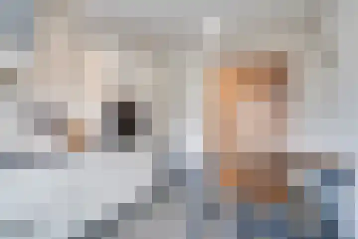 Pater Regoutlaan 13 Reuver thumbnail 15