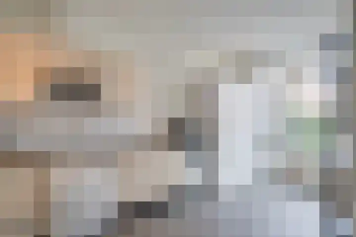 Pater Regoutlaan 13 Reuver thumbnail 17