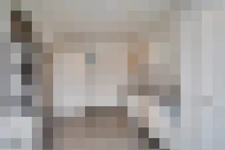 Pater Regoutlaan 13 Reuver thumbnail 18