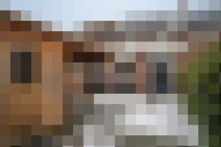 Pater Regoutlaan 13 Reuver thumbnail 22
