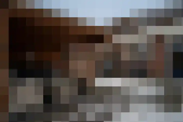 Pater Regoutlaan 13 Reuver thumbnail 24