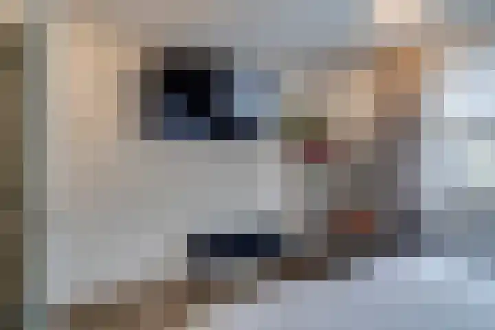 Pater Regoutlaan 13 Reuver thumbnail 29