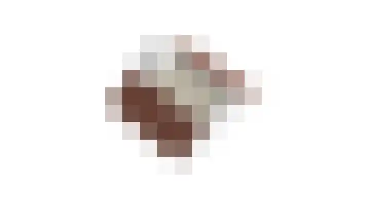 Pater Regoutlaan 13 Reuver thumbnail 53