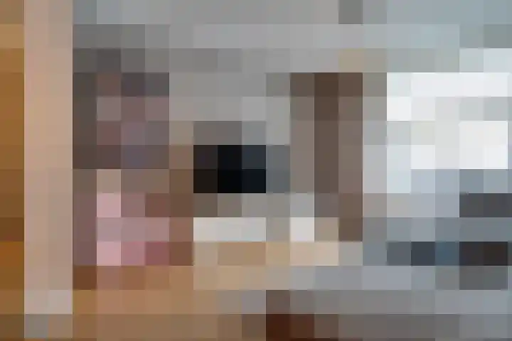 Pater Regoutlaan 13 Reuver thumbnail 8