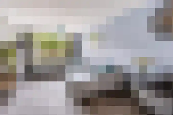 Pater Rijkenstraat 13 Valkenswaard thumbnail 6