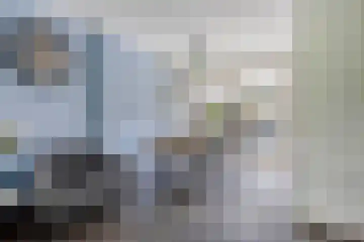 Pater Rijkenstraat 13 Valkenswaard thumbnail 9