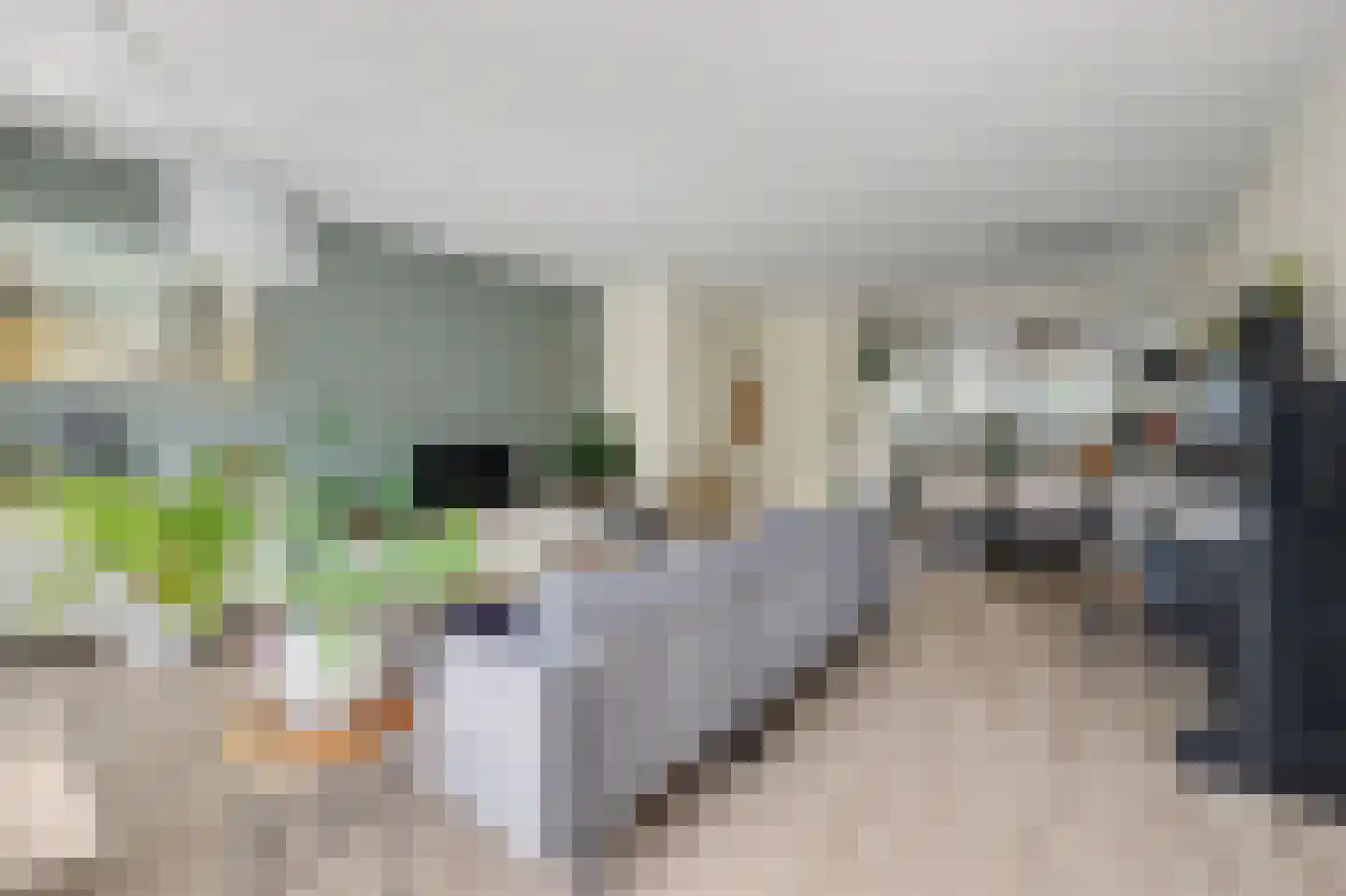 Pater Rijkenstraat 7 Huissen thumbnail 11
