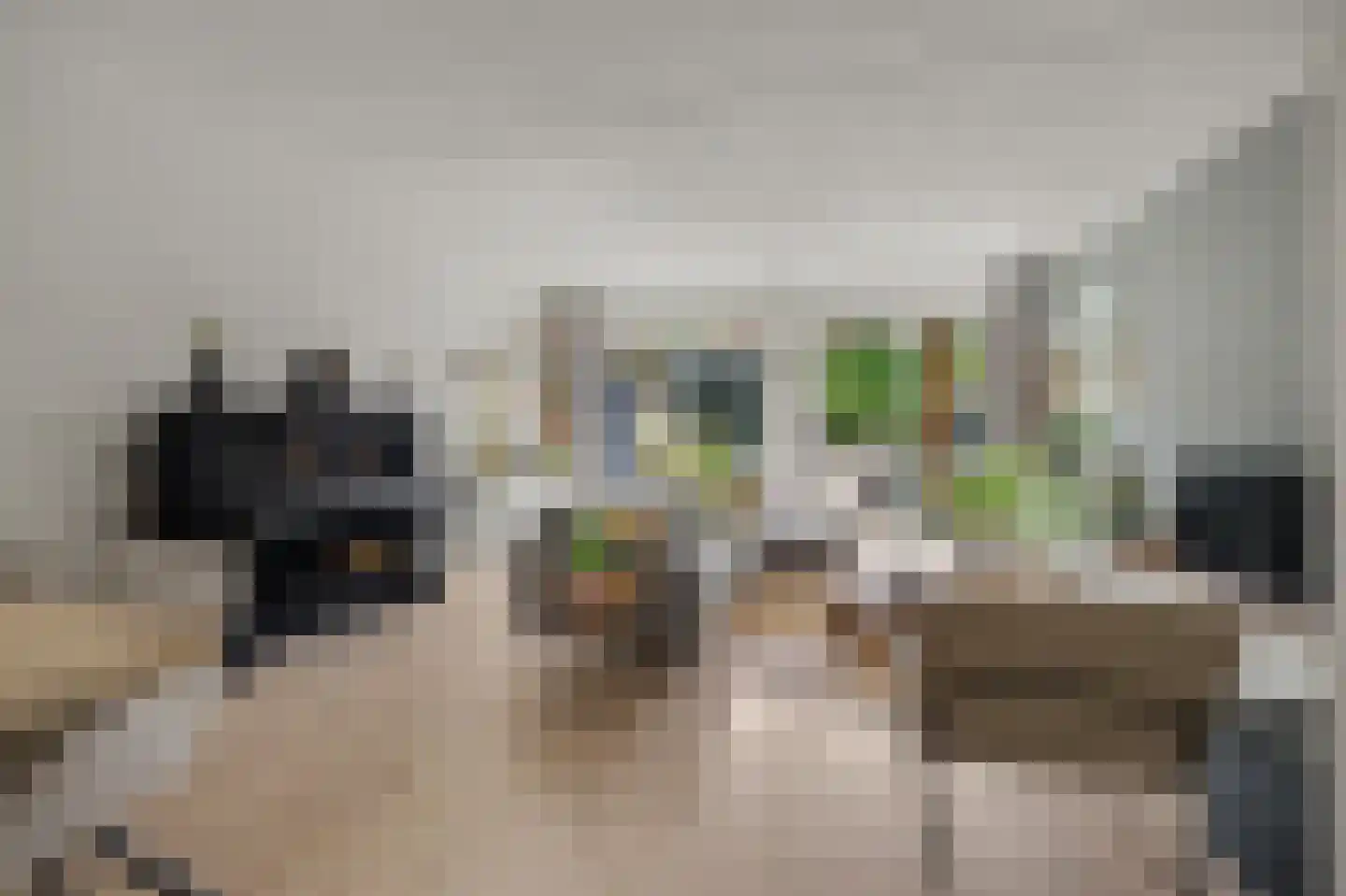 Pater Rijkenstraat 7 Huissen thumbnail 14