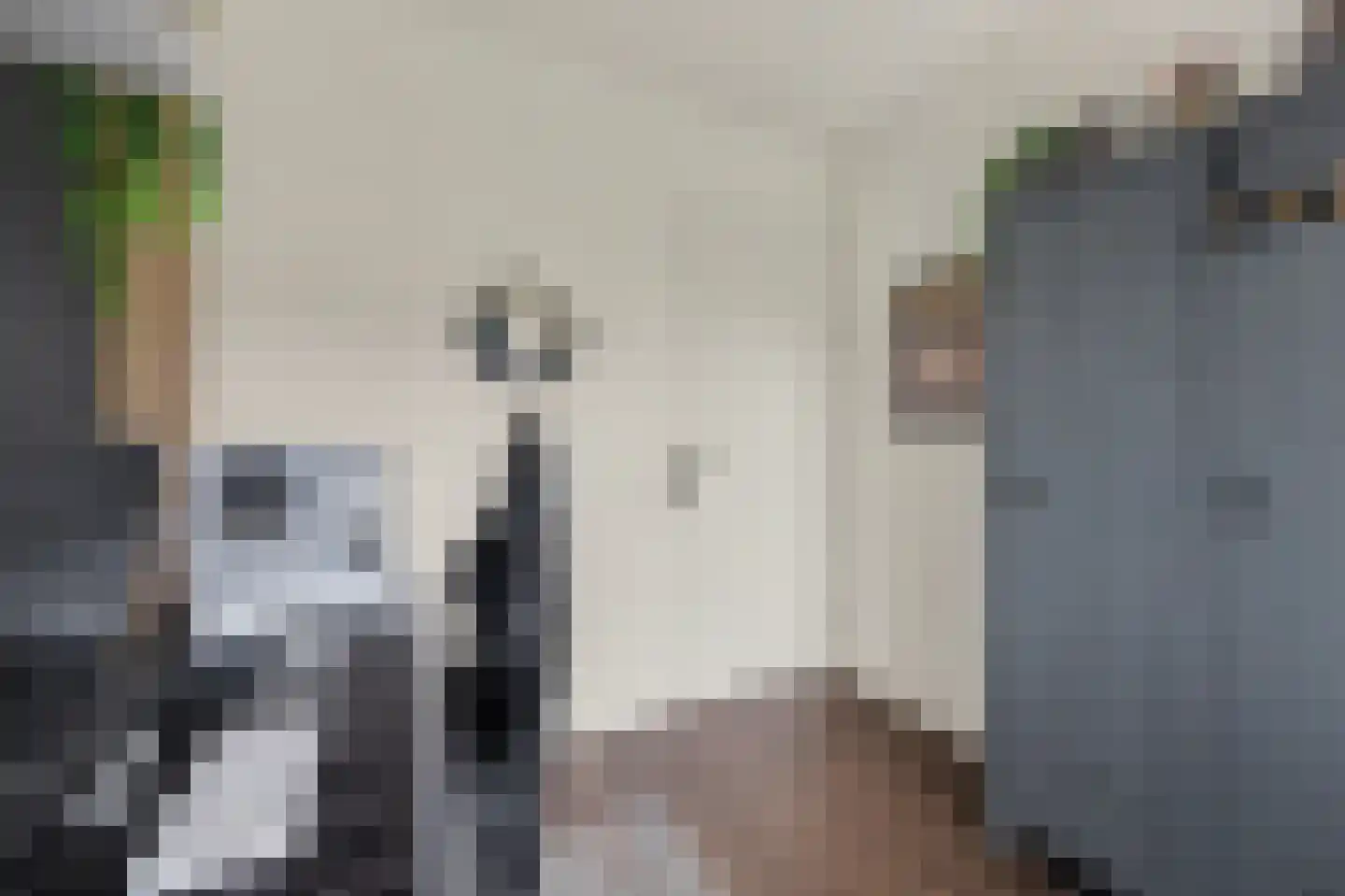 Pater Rijkenstraat 7 Huissen thumbnail 20
