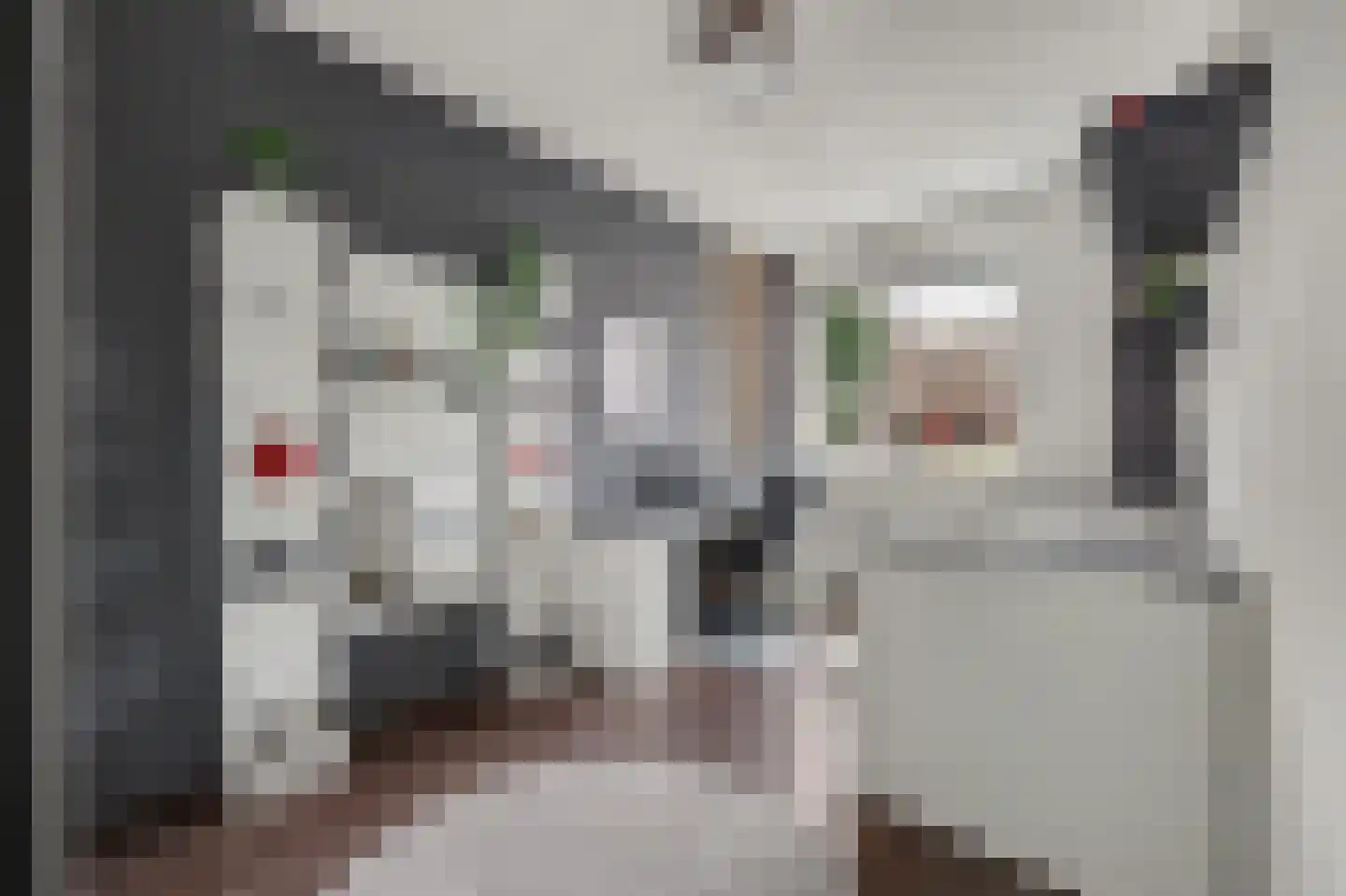 Pater Rijkenstraat 7 Huissen thumbnail 22