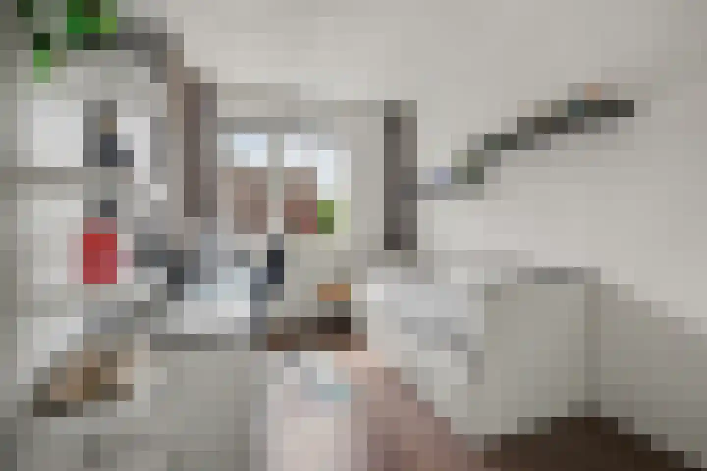 Pater Rijkenstraat 7 Huissen thumbnail 24