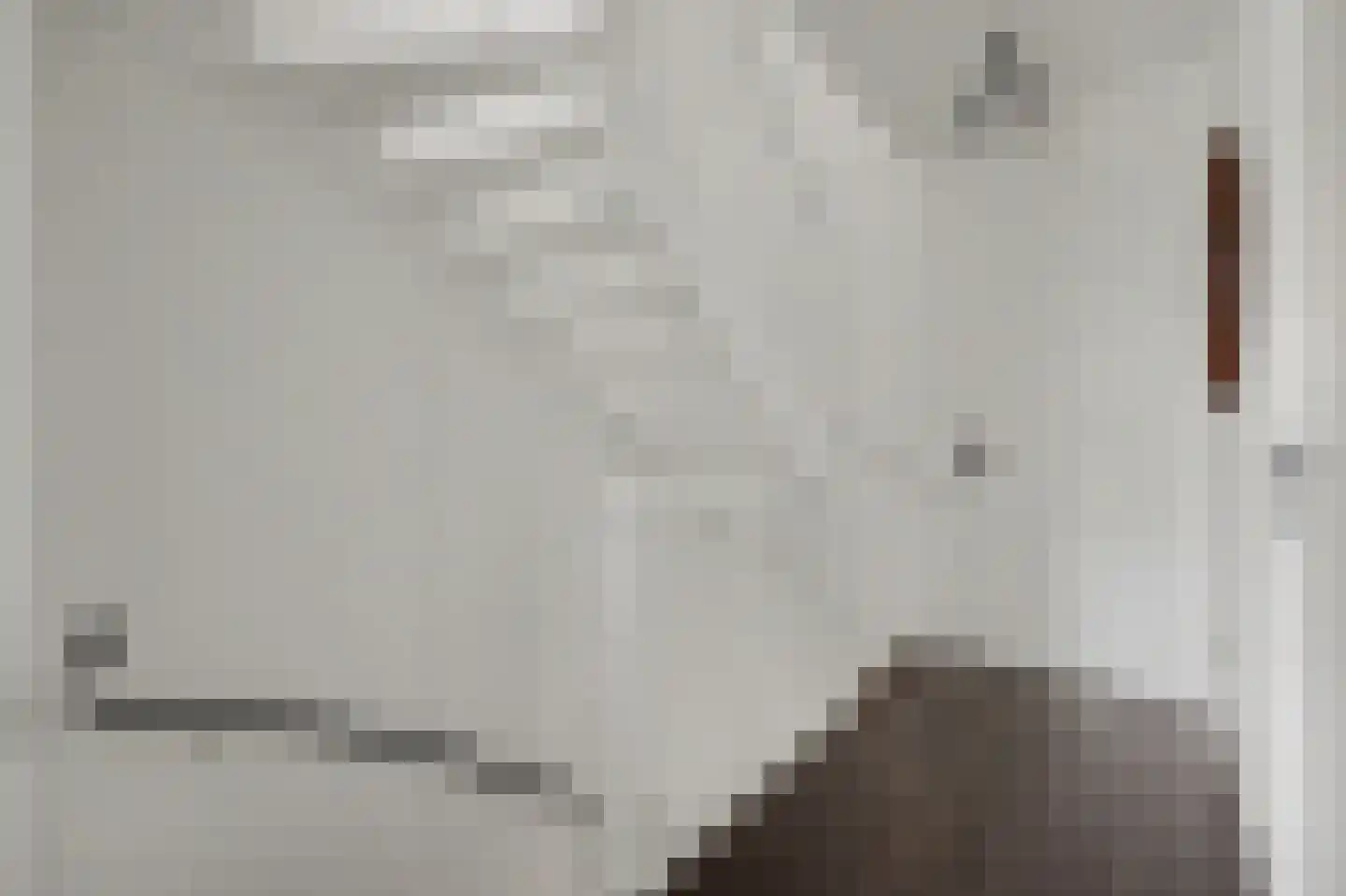 Pater Rijkenstraat 7 Huissen thumbnail 33
