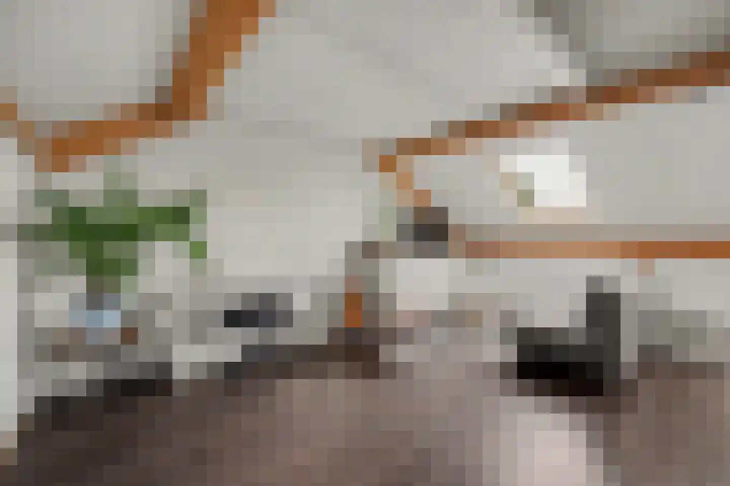 Pater Rijkenstraat 7 Huissen thumbnail 35