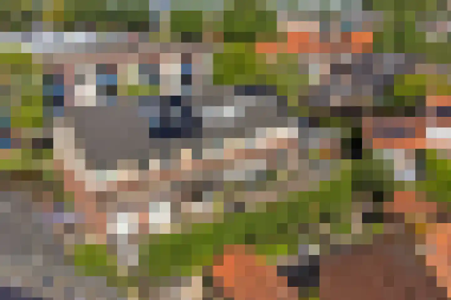 Pater Rijkenstraat 7 Huissen thumbnail 38