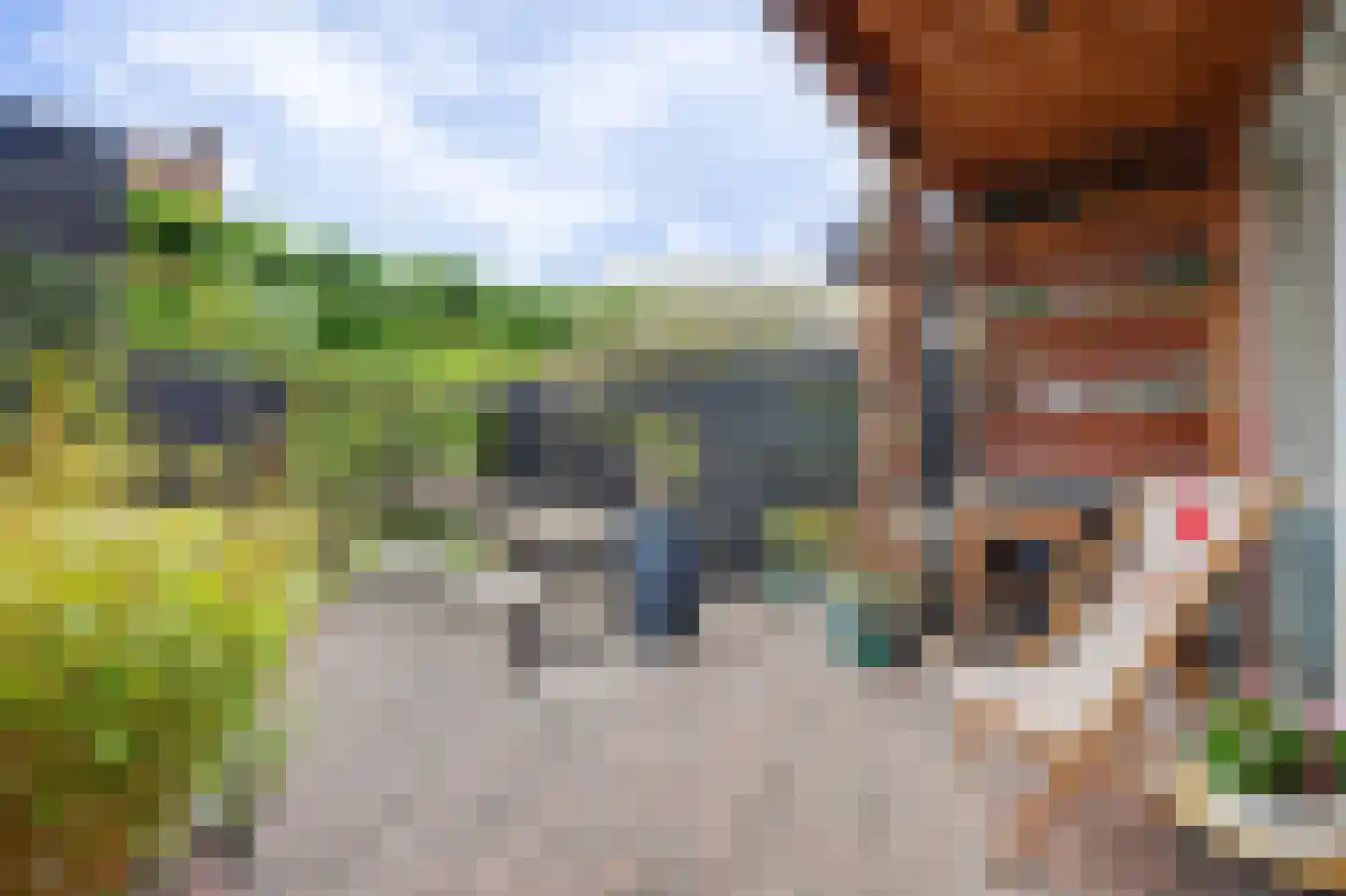 Pater Rijkenstraat 7 Huissen thumbnail 4