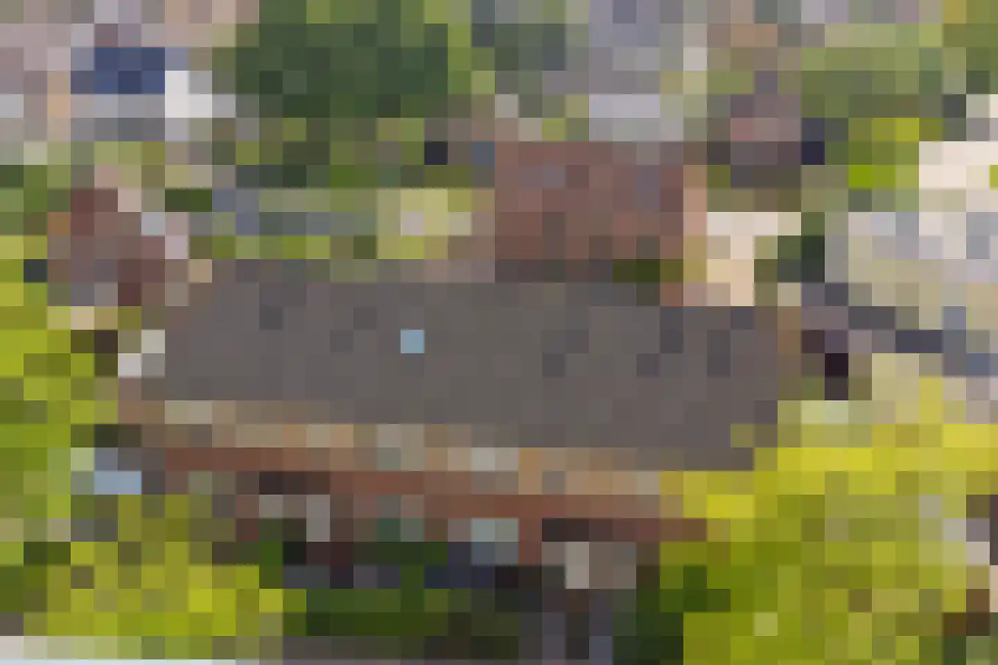 Pater Rijkenstraat 7 Huissen thumbnail 42