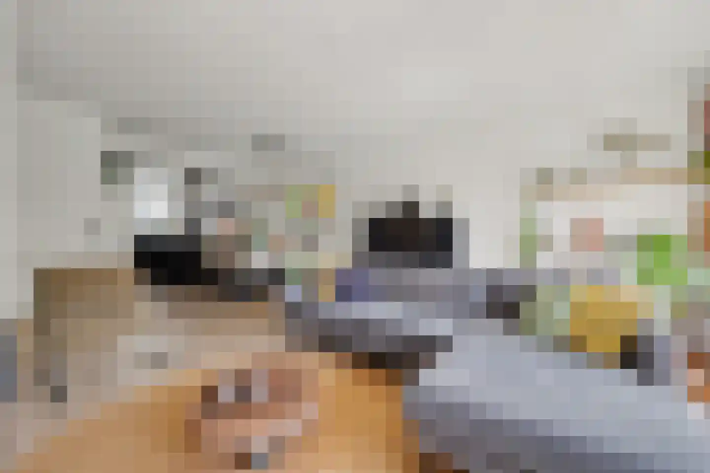 Pater Rijkenstraat 7 Huissen thumbnail 5