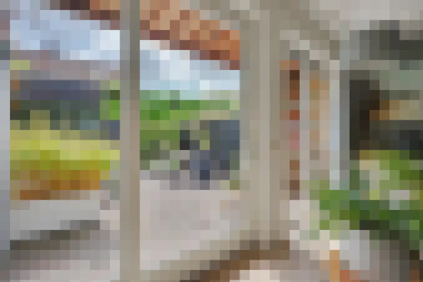 Pater Rijkenstraat 7 Huissen thumbnail 5