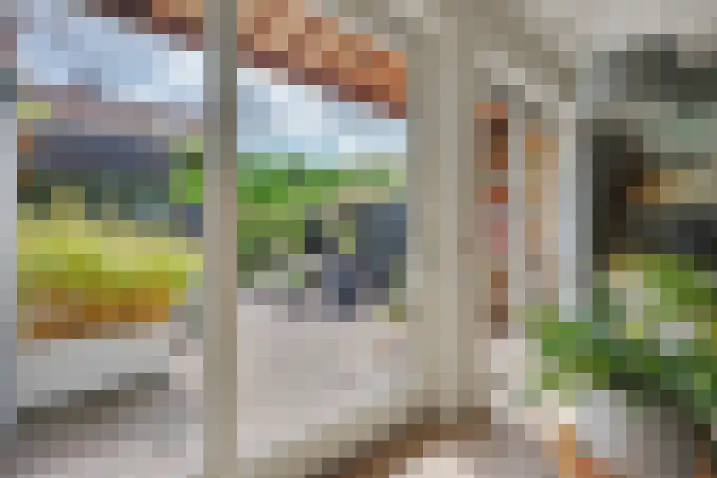 Pater Rijkenstraat 7 Huissen thumbnail 7