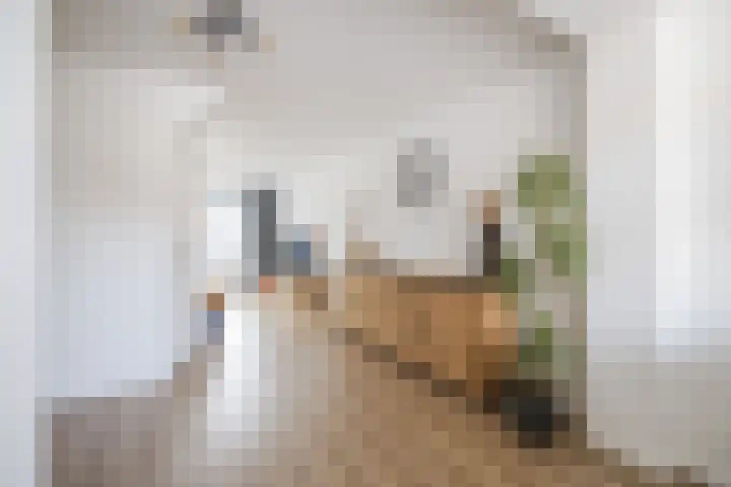Pater Ruttenstraat 11 Tilburg thumbnail 16