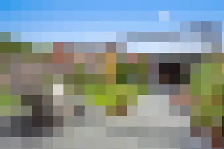 Pater Ruttenstraat 42 Tilburg thumbnail 36