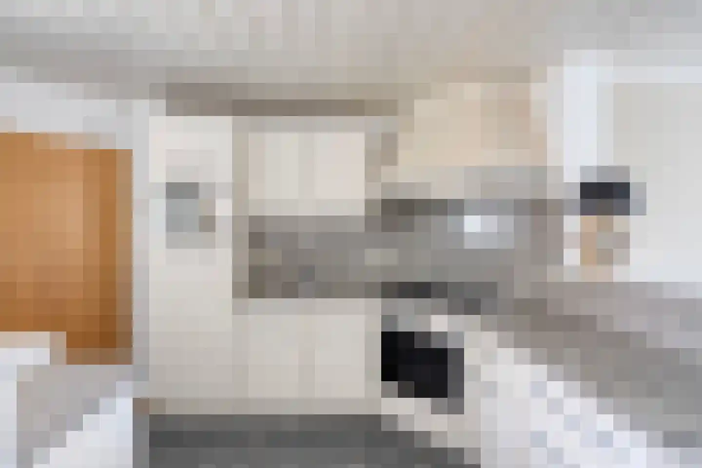 Pater Sangersstraat 16 Stevensweert thumbnail 20