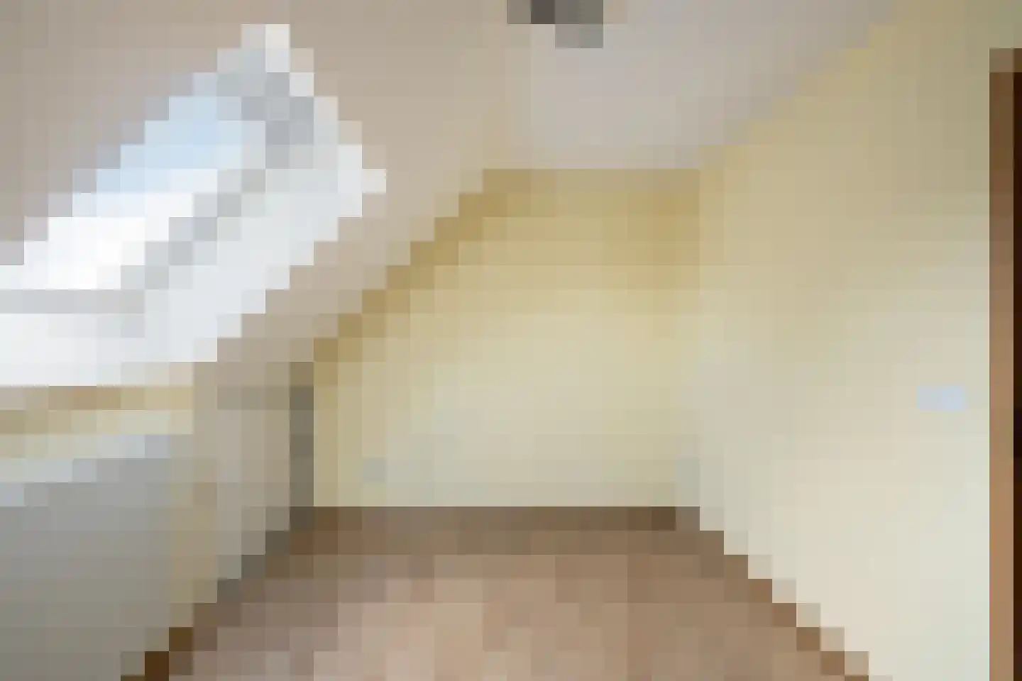 Pater Sangersstraat 16 Stevensweert thumbnail 36