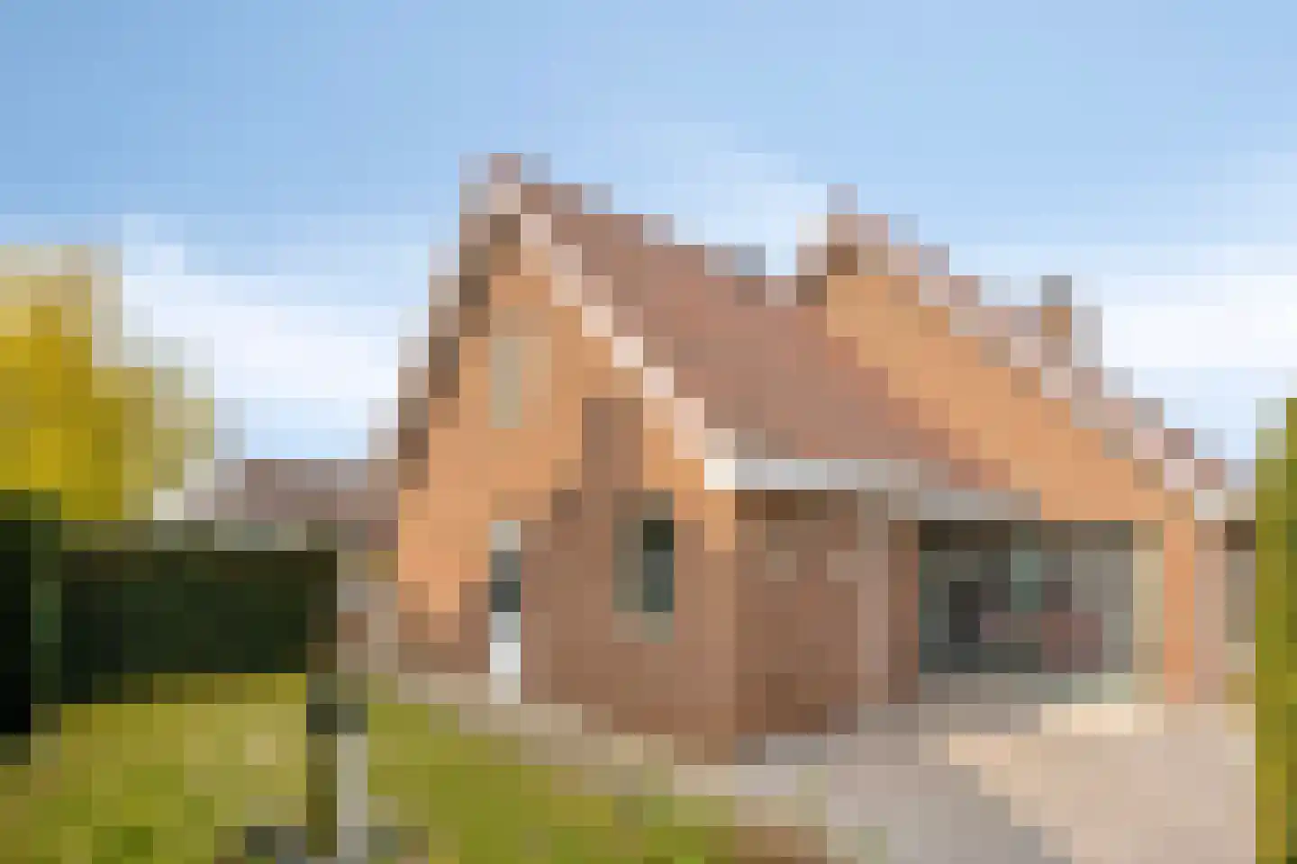 Pater Sangersstraat 16 Stevensweert thumbnail 4